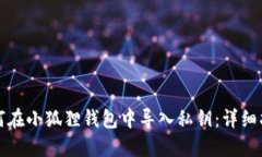 如何在小狐狸钱包中导入私钥：详细指南